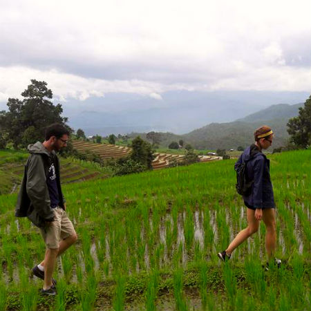 Hiking in rice paddies